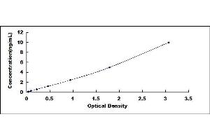 Typical standard curve (CLEC7A ELISA 试剂盒)