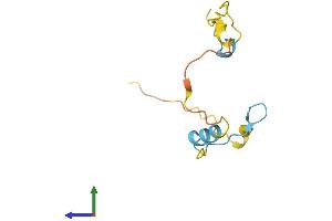 AlphaFold protein structure predicition of Human Recombinant PRR15L Protein, UniprotID Q9BU68