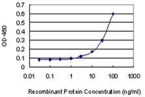 ELISA image for anti-GATA Binding Protein 1 (Globin Transcription Factor 1) (GATA1) (AA 123-199) antibody (ABIN515943)