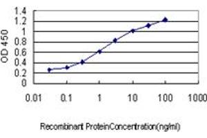 Detection limit for recombinant GST tagged DFNB31 is approximately 0. (DFNB31 抗体  (AA 808-907))