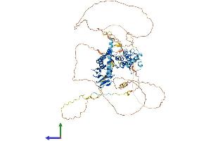 AlphaFold protein structure predicition of Human Recombinant NBN Protein, UniprotID O60934