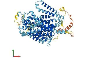 Protein Structure (PS) image for Solute Carrier Family 7 (Cationic Amino Acid Transporter, Y+ System), Member 1 (SLC7A1) (AA 1-629) protein (His tag) (ABIN7553557)