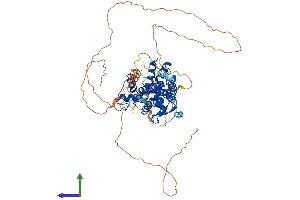 AlphaFold protein structure predicition of Mouse Recombinant Nr4a2 Protein, UniprotID Q06219