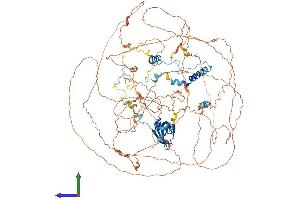 Protein Structure (PS) image for Ataxin 2-Like (ATXN2L) (AA 1-1049) protein (His tag) (ABIN7564206)