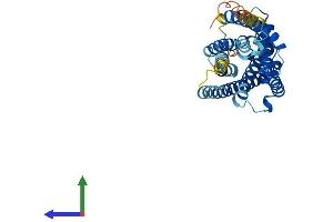 AlphaFold protein structure predicition of Mouse Recombinant P2ry13 Protein, UniprotID Q9D8I2