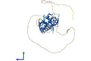 Protein Structure (PS) image for Pyrin and HIN Domain Family, Member 1 (PYHIN1) (AA 1-492) protein (His tag) (ABIN7548524)