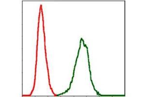 Flow cytometric analysis of NIH/3T3 cells using SERPINE1 monoclonal antobody, clone 1D5  (green) and negative control (red). (PAI1 抗体)