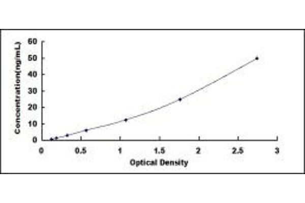 CHRM3 ELISA 试剂盒