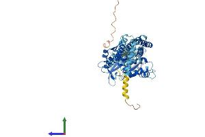 Protein Structure (PS) image for Atlastin GTPase 3 (ATL3) (AA 1-541) protein (His tag) (ABIN7560102)