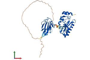 Protein Structure (PS) image for Aprataxin (APTX) (AA 1-356) protein (His tag) (ABIN7552198)