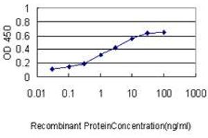 Detection limit for recombinant GST tagged BAG1 is approximately 0. (BAG1 抗体  (AA 241-345))