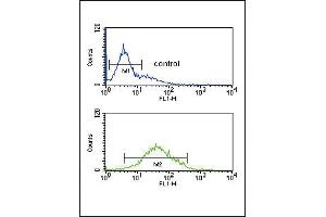 Flow Cytometry (FACS) image for anti-Zinc Finger, FYVE Domain Containing 16 (ZFYVE16) (AA 375-404), (N-Term) antibody (ABIN651313)
