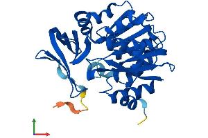 Protein Structure (PS) image for Spermidine Synthase (SRM) (AA 1-302) protein (His tag) (ABIN7557847)