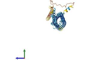 Protein Structure (PS) image for Glycoprotein M6B (GPM6B) (AA 1-328) protein (His tag) (ABIN7563189)