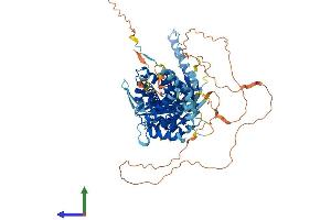 Protein Structure (PS) image for Bardet-Biedl Syndrome 10 (BBS10) (AA 1-713) protein (His tag) (ABIN7561281)