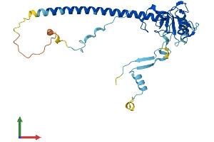 Protein Structure (PS) image for Nitric Oxide Synthase Interacting Protein (NOSIP) (AA 1-301) protein (His tag) (ABIN7549913)