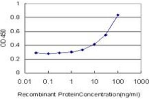 Detection limit for recombinant GST tagged FOXD1 is approximately 1ng/ml as a capture antibody. (FOXD1 抗体  (AA 1-91))