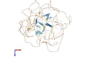 AlphaFold protein structure predicition of Human Recombinant NPAT Protein, UniprotID Q14207 (NPAT Protein (AA 1-1427) (His tag))