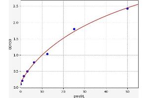 Typical standard curve (Pro-C-Type Natriuretic Peptide (NT-ProCNP) ELISA 试剂盒)