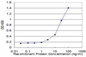 Detection limit for recombinant GST tagged KRT8 is approximately 1ng/ml as a capture antibody. (KRT8 抗体  (AA 91-195))