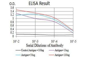 Black line: Control Antigen (100 ng),Purple line: Antigen (10 ng), Blue line: Antigen (50 ng), Red line:Antigen (100 ng) (MAP2K3 抗体  (AA 1-138))