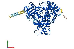 AlphaFold protein structure predicition of Human Recombinant CYP2S1 Protein, UniprotID Q96SQ9 (CYP2S1 Protein (AA 1-504) (His tag))