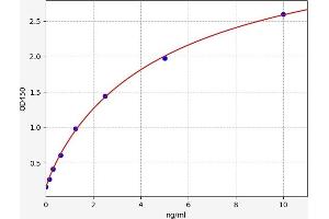 Typical standard curve (BANP ELISA 试剂盒)
