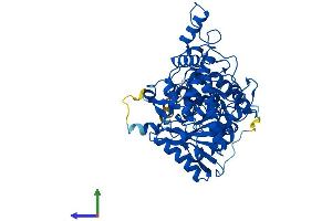AlphaFold protein structure predicition of Human Recombinant QRSL1 Protein, UniprotID Q9H0R6