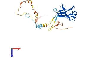 Protein Phosphatase 1, Regulatory Subunit 3D (PPP1R3D) (AA 1-299) protein (His tag)