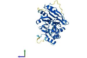 Protein Structure (PS) image for ELAC1 (ELAC1) (AA 1-363) protein (His tag) (ABIN7551486)