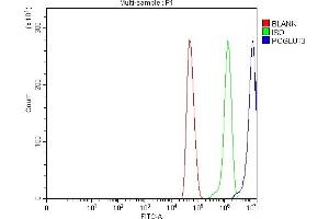 Flow Cytometry analysis of U251 cells using anti-POGLUT3 antibody (ABIN7825696). (POGLUT3 (AA 48-499) 抗体)