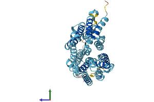 Protein Structure (PS) image for Solute Carrier Family 37 (Glucose-6-Phosphate Transporter), Member 4 (SLC37A4) (AA 1-429) protein (His tag) (ABIN7553961)