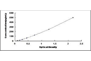 Typical standard curve (Anti-Lysosomal Associated Membrane Protein 2 Antibody (Anti-LAMP2) ELISA 试剂盒)