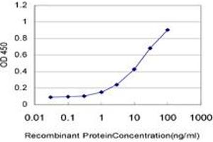 Detection limit for recombinant GST tagged TCL1A is approximately 1ng/ml as a capture antibody. (TCL1A 抗体  (AA 61-114))