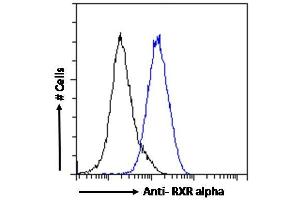 ABIN185295 Flow cytometric analysis of paraformaldehyde fixed MCF7 cells (blue line), permeabilized with 0. (Retinoid X Receptor alpha 抗体  (AA 14-28))