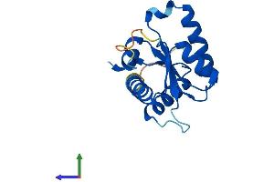 Protein Structure (PS) image for Growth Arrest and DNA-Damage-Inducible, gamma (GADD45G) (AA 1-159) protein (His tag) (ABIN7547881)