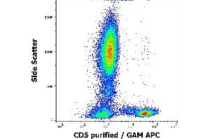 Flow cytometry surface staining pattern of human peripheral whole blood stained using anti-human CD5 (MEM-32) purified antibody (concentration in sample 3 μg/mL, GAM APC).