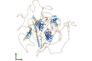 Protein Structure (PS) image for Regulating Synaptic Membrane Exocytosis 2 (RIMS2) (AA 1-1530) protein (His tag) (ABIN7565042)