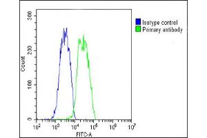 Overlay histogram showing HepG2 cells stained with (ABIN650694 and ABIN2839117)(green line). (VEGFC 抗体)