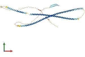Protein Structure (PS) image for Keratin 8 (KRT8) (AA 1-490) protein (His tag) (ABIN7562840)