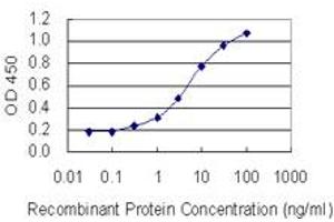Detection limit for recombinant GST tagged MORF4L1 is 0. (MORF4L1 抗体  (AA 1-100))