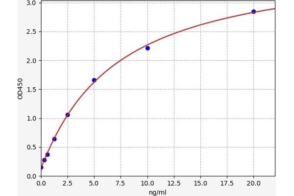 IL20RA ELISA 试剂盒