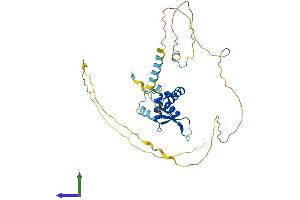 Protein Structure (PS) image for Forkhead Box B1 (FOXB1) (AA 1-325) protein (His tag) (ABIN7557857)