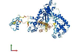 Protein Structure (PS) image for Zinc Finger, BED-Type Containing 5 (ZBED5) (AA 1-693) protein (His tag) (ABIN7545281)
