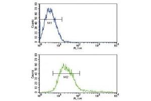 Flow cytometric analysis of CEM cells using ADAM17 antibody (green) compared to a negative control (blue). (ADAM17 抗体  (AA 195-224))