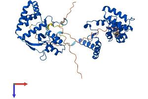 Regulator of G-Protein Signaling 7 (RGS7) (AA 1-495) protein (His tag)