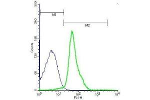 Mouse thymocytes probed with Rabbit Anti-ADAM17 Polyclonal Antibody, Unconjugated . (ADAM17 抗体  (AA 201-300))