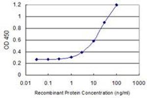 Detection limit for recombinant GST tagged DMC1 is 0. (DMC1 抗体  (AA 237-339))
