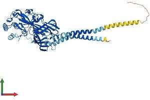 AlphaFold protein structure predicition of Mouse Recombinant Scarb1 Protein, UniprotID Q61009