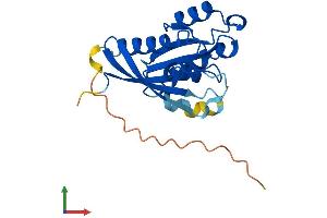 Protein Structure (PS) image for RAB1B, Member RAS Oncogene Family (RAB1B) (AA 1-201) protein (His tag) (ABIN7551225)